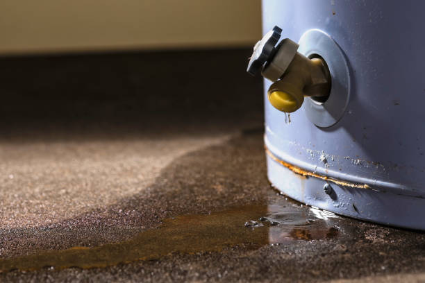 24/7 water damage repair in NJ