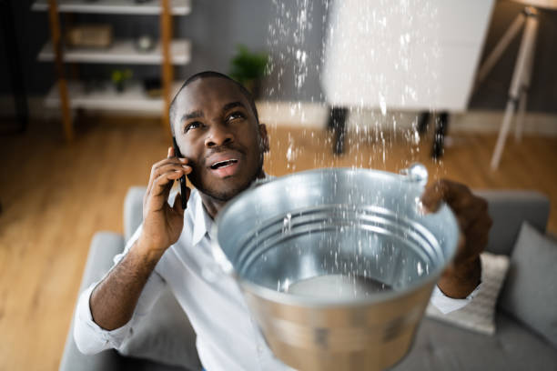 Best Professional water damage repair  in Bergenfield, NJ