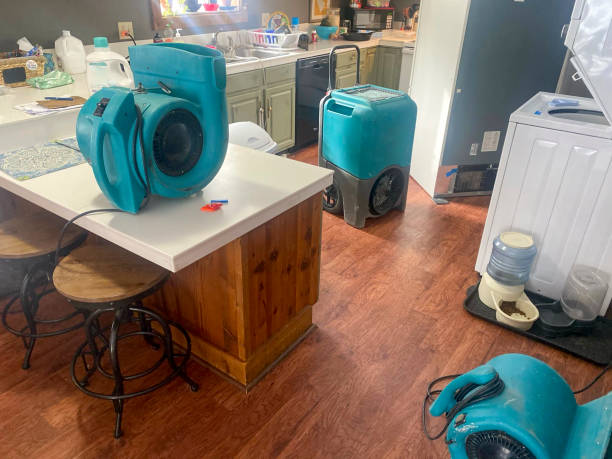 Best Water damage contractors near me  in Bergenfield, NJ