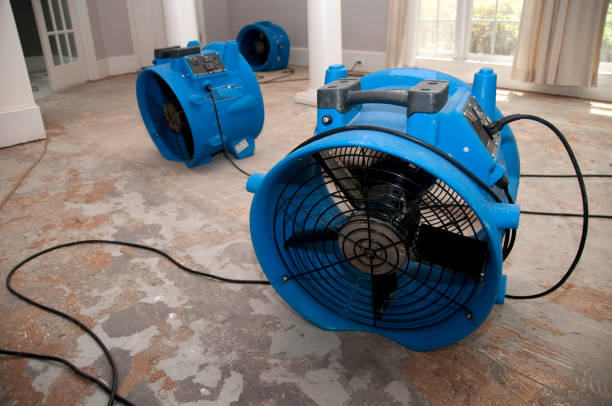 Best Water damage restoration insurance claims  in Bergenfield, NJ