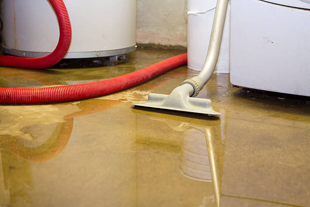 Best Commercial water damage restoration  in Bergenfield, NJ