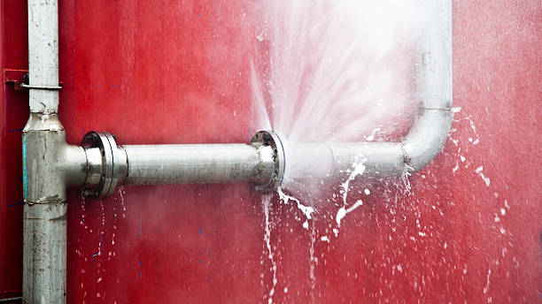 Best Sewage cleanup and water damage restoration  in Bergenfield, NJ